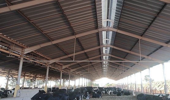 Home 8 logístico agroindustrial